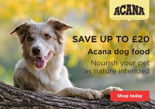 Save up to £20 on Acana dog food