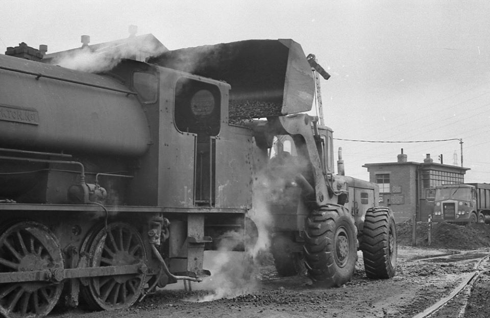 12790853_535158099979286_313630145414387