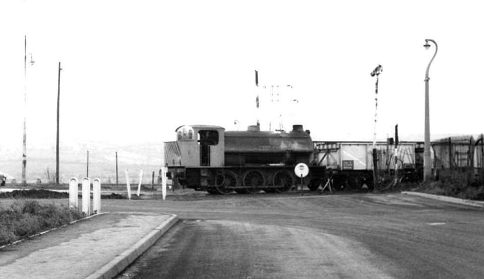 12791043_535158433312586_292256065825776