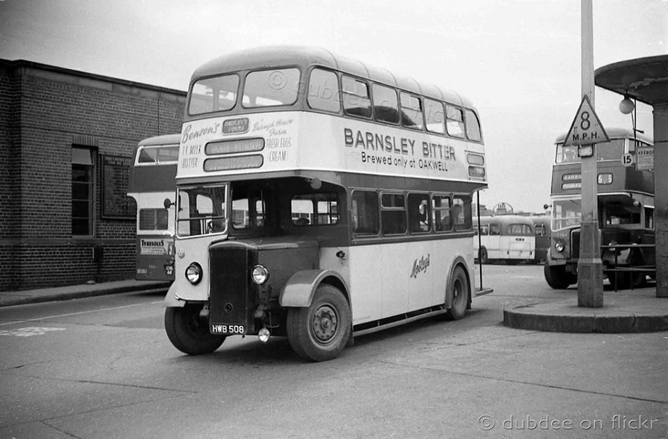 12832376_537101586451604_153122169362794