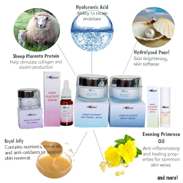  photo Ingredients_zps8xcytela.jpg