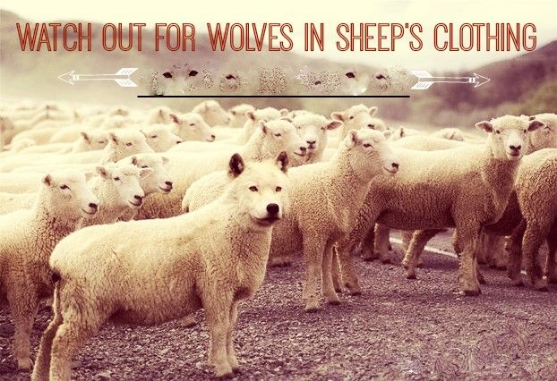 [Image: Wolf-in-Sheeps-Clothing_zpsnkkg84et.jpg]