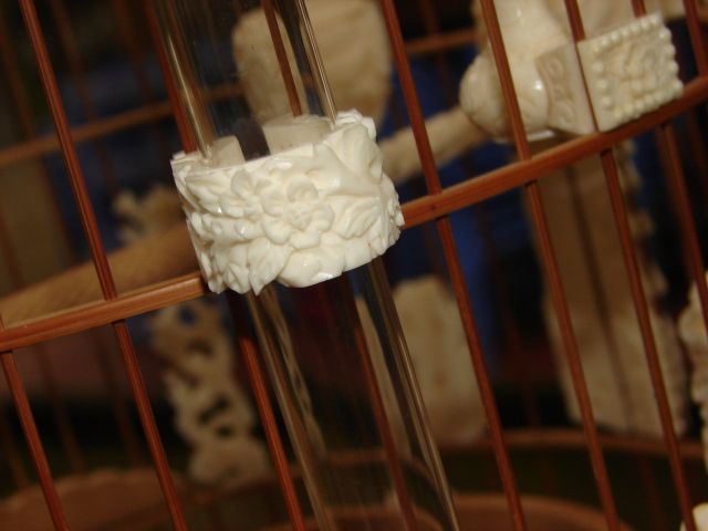 Shop Phụ Kiện Lồng Cóng ...