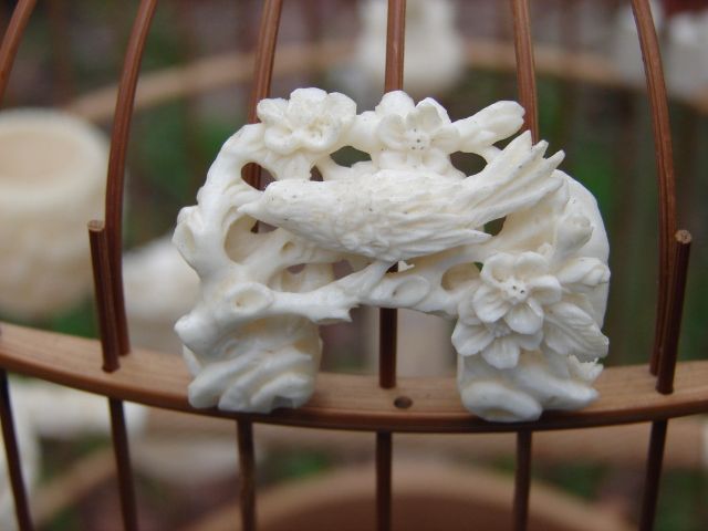 Shop Phụ Kiện Lồng Cóng ... - 3