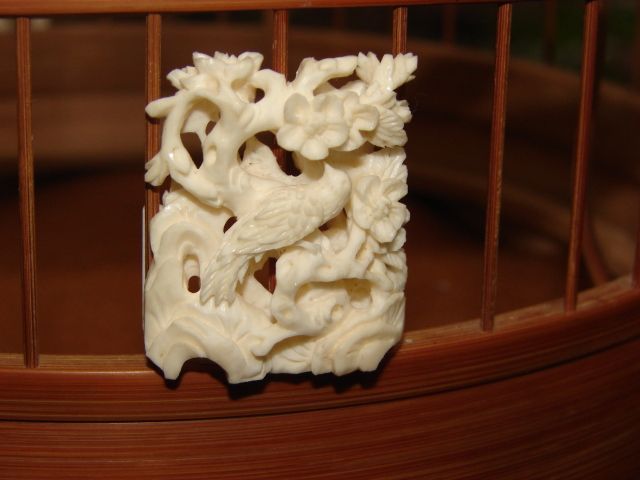 Shop Phụ Kiện Lồng Cóng ... - 2