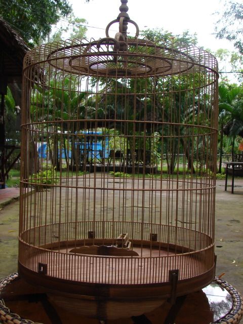 Shop Phụ Kiện Lồng Cóng ...