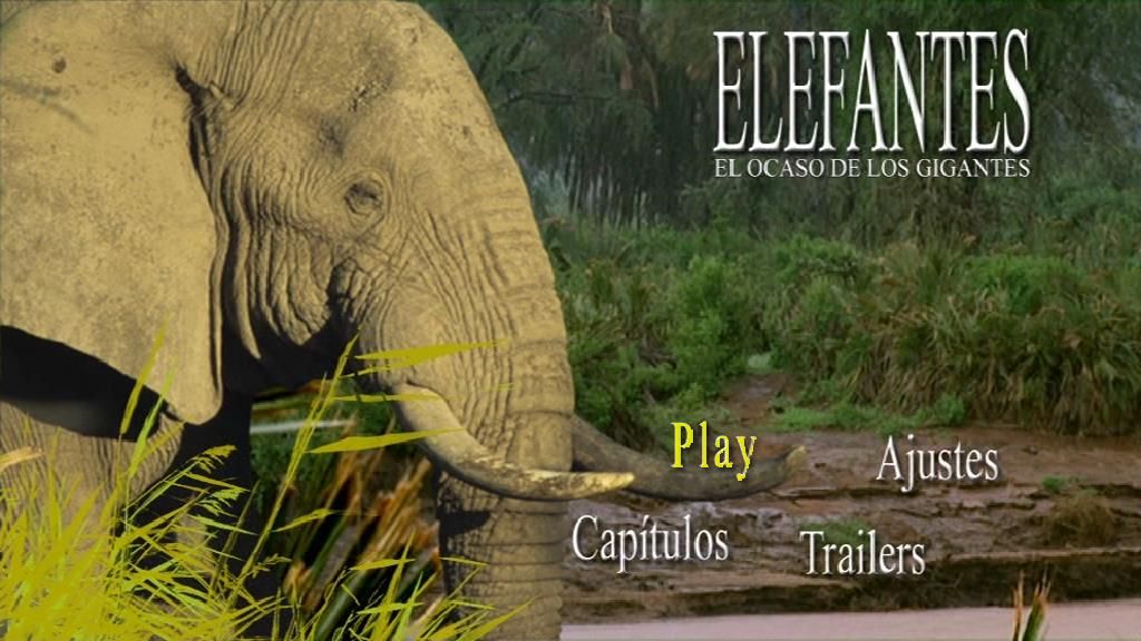 PDVD 001 zps5iu0y4jh - Explora - Elefantes, El Ocaso de los Gigantes  (2010) [DVD5] [AC3 5.1 ES/IN] [PAL] [VS]